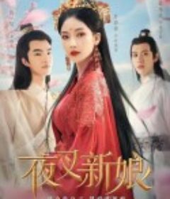 夜叉新娘            (2023)