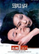 绿鱼 초록물고기            (1997)