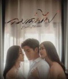 玩火之风 ลมเล่นไฟ            (2024)