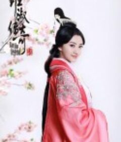 班淑传奇            (2015)