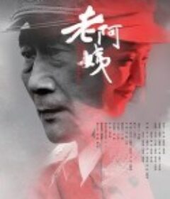 老阿姨            (2016)