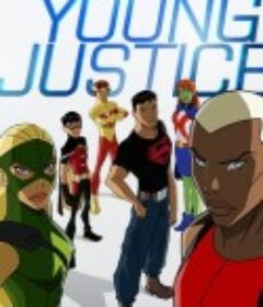 少年正义联盟 第一季 Young Justice Season 1            (2010)