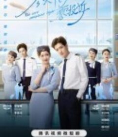 今天航班零投诉            (2024)