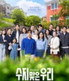 幸运的我们 수지맞은 우리            (2024)