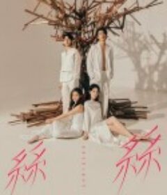 玛嘉烈与大卫 丝丝 瑪嘉烈與大衛系列 絲絲            (2024)