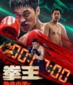 拳王·外卖小子            (2024)