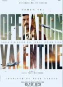 情人节行动 Operation Valentine            (2023)