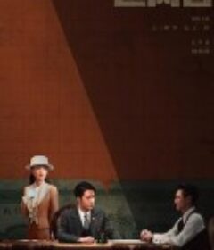 追风者            (2024)