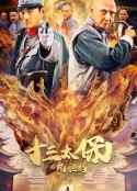 十三太保之风云再起            (2024)