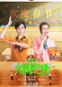 大妈的世界 贺岁篇            (2024)