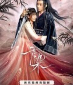 无染            (2024)