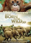 天生狂野 Born to Be Wild            (2011)