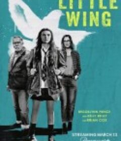 小翅膀 Little Wing            (2024)