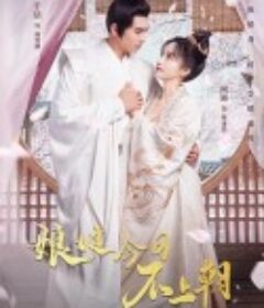 娘娘今日不上朝            (2023)