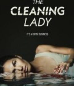 清洁工 第三季 The Cleaning Lady Season 3            (2024)