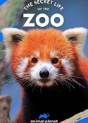 动物园的秘密生活 第四季 The Secret Life of the Zoo Season 4            (2017)