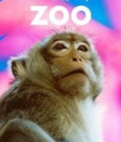 动物园的秘密生活 第三季 The Secret Life of the Zoo Season 3            (2017)