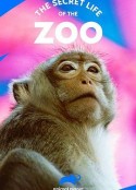 动物园的秘密生活 第三季 The Secret Life of the Zoo Season 3            (2017)