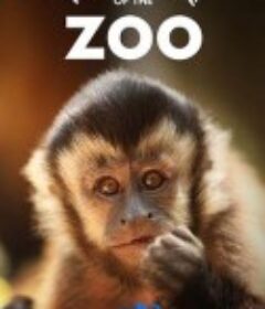 动物园的秘密生活 第一季 The Secret Life of the Zoo Season 1            (2016)