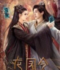 龙凤令            (2023)