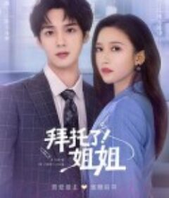 拜托了！姐姐            (2022)