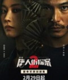 唐人街探案2            (2024)