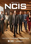 海军罪案调查处 第二十一季 NCIS Season 21            (2024)