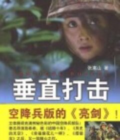 垂直打击            (2006)