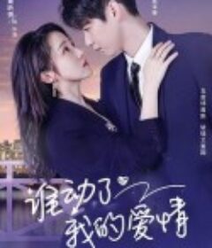 谁动了我的爱情            (2023)