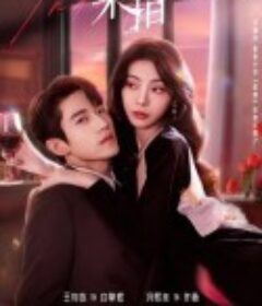 染指            (2024)