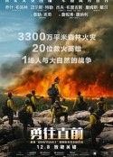 勇往直前 Only the Brave            (2017)