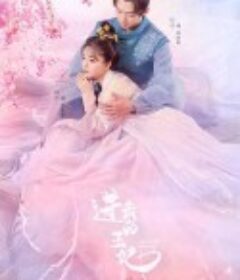 进击的王妃            (2023)