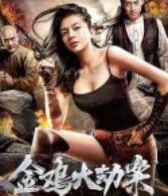 金鸡大劫案            (2018)