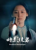 暗影使者            (2024)