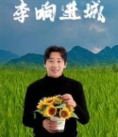 李响进城            (2024)