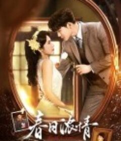 春日浓情            (2024)