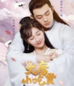 大唐小吃货            (2021)