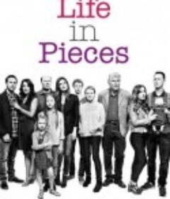 生活点滴 1-4季 Life in Pieces Season 1-4            (2015-2019)