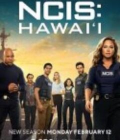 海军罪案调查处：夏威夷 第三季 NCIS: Hawaiʻi Season 3            (2024)