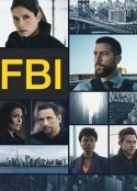 联邦调查局 第六季 FBI Season 6            (2024)