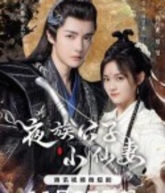 夜族公子小仙妻            (2023)