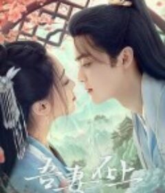 吾妻在上            (2024)