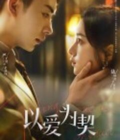 以爱为契            (2024)
