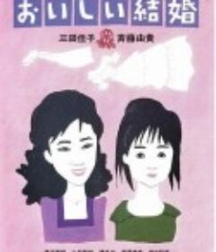 美妙的婚姻 おいしい結婚            (1991)