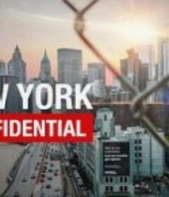 纽约的秘密 NY Confidential            (2011)