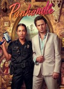 佛州奇侠 Panhandle            (2022)