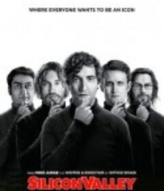 硅谷 第一季 Silicon Valley Season 1            (2014)