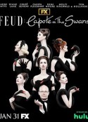宿敌 第二季 Feud: Capote vs. The Swans Season 2            (2024)