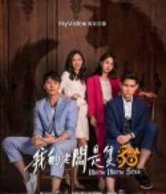 我的老板是只猫 我的老闆是隻貓            (2021)