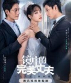 镜中的完美丈夫            (2023)